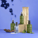 Benvoleo / Perfect Again Mist - Shampoo dry no gas 150 ml - Alfaparf Milan